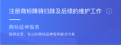 注册商标障碍扫除及后续维护工作